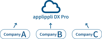 DX Pro System Test